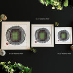 Tynecastle Park Globe by Staves Art (12