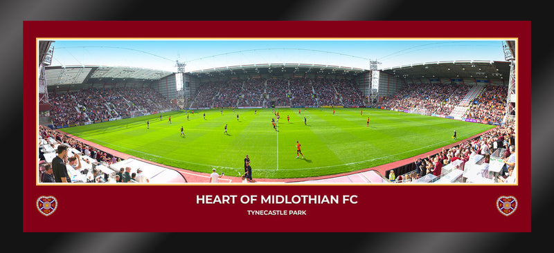 TEMPERED GLASS DESKTOP PANORAMIC - Match Image