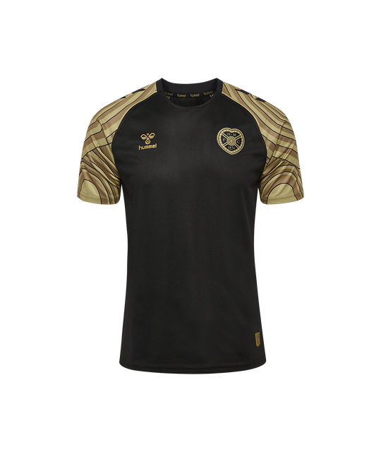 25/26 THIRD Match Day Short Sleeve JERSEY - ADULT