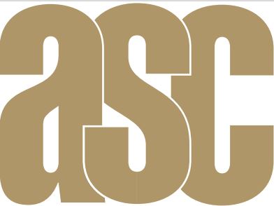 ASC Sleeve Badge - Gold